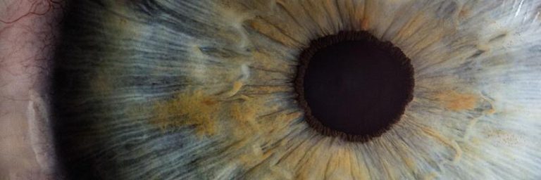 Como funcionam os olhos?